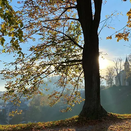 Seepanorama An Der Esplanade 2 * Gmunden